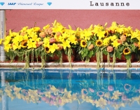 Lausanne, SUI. Samsung Diamond League Meeting - Athletissima. 3000m Steeplechase