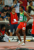 Mohammed Aman. World Championships 2015, Beijing