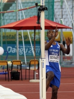   IAAF 2010 (, ). .   ()